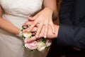 Wedding rings and hands bride groom Royalty Free Stock Photo