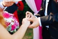 Wedding rings and hands of bride and groom. young wedding couple at ceremony. matrimony. man and woman in love. two happy people c Royalty Free Stock Photo