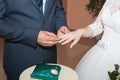 Wedding rings and hands of bride and groom. young wedding couple at ceremony. matrimony. man and woman in love. two Royalty Free Stock Photo