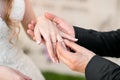 Wedding rings and hands of bride and groom. young wedding couple at ceremony. matrimony. man and woman in love. two