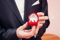 Wedding rings in hands at the groom Royalty Free Stock Photo