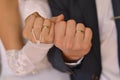 Wedding rings on hands, wedding background Royalty Free Stock Photo