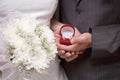Wedding rings in hands of newlyweds Royalty Free Stock Photo