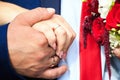 Wedding rings on the hands of newlyweds Royalty Free Stock Photo
