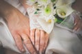 Wedding Wedding rings Hands with rings Royalty Free Stock Photo