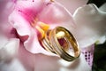 Wedding rings inside an orchid flower Royalty Free Stock Photo