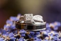 Wedding Rings on Lavendar Flowers