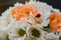 Wedding rings lie on a bouquet of orange roses and white colors. Ladybug. Royalty Free Stock Photo