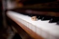 Wedding rings lie on the piano keys Royalty Free Stock Photo