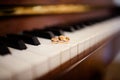 Wedding rings lie on the piano keys Royalty Free Stock Photo