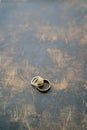 Wedding rings lie on a scratched painted table