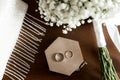 Wedding rings lie on a wooden box Royalty Free Stock Photo