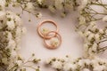 Wedding rings - love story Royalty Free Stock Photo