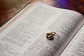 Wedding rings lying on Bible Royalty Free Stock Photo