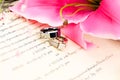 Wedding Rings on Marriage License Royalty Free Stock Photo