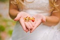 Wedding rings on mountain ash berries Royalty Free Stock Photo