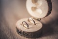 Wedding rings on natural wood backround.