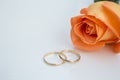 Wedding rings with orange rose, on white background Royalty Free Stock Photo