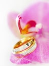 Wedding rings on an orchid