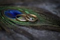 Wedding rings on peacock feathers Royalty Free Stock Photo