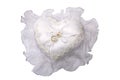 Wedding rings pillow