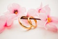 Wedding rings and pink flowers Royalty Free Stock Photo