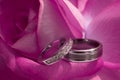 Wedding Rings On Pink Rose