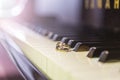 Wedding rings placed on piano keys. Royalty Free Stock Photo