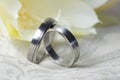 Wedding rings of platinum in close up