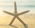 Wedding rings put on the beach. Royalty Free Stock Photo