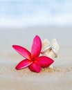 Wedding rings put on the beach Royalty Free Stock Photo