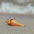 Wedding rings put on the beach Royalty Free Stock Photo