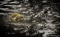 Wedding Rings in The Raindrops.