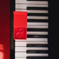 Wedding rings in red box on the piano