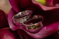 Wedding rings on red callas background Royalty Free Stock Photo