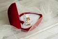 Wedding rings in red heart box in veil Royalty Free Stock Photo