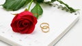 Wedding Rings & Red Rose Royalty Free Stock Photo