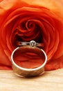 Wedding rings on a red rose Royalty Free Stock Photo