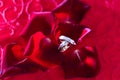 Wedding rings on red rose petals Royalty Free Stock Photo