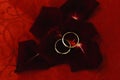 Wedding rings on red rose petals Royalty Free Stock Photo