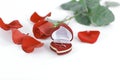 Wedding rings and red rose on white background Royalty Free Stock Photo
