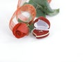 Wedding rings and red rose on white background.photo with copy s Royalty Free Stock Photo