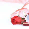 Wedding rings and red rose on white background.photo with copy s Royalty Free Stock Photo