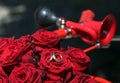 Red roses and an old red bicycle horn decorate the wedding rings