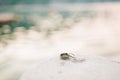 Wedding rings on the rocks near the sea Royalty Free Stock Photo