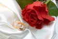 Wedding rings and rose Royalty Free Stock Photo