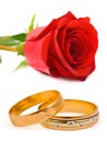 Wedding rings and rose Royalty Free Stock Photo