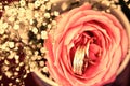 Wedding rings in rose flower with decorations background filtered