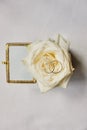 wedding rings with rose flowers, selective focus Royalty Free Stock Photo