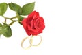 Wedding rings and rose isolated over white with sp Royalty Free Stock Photo